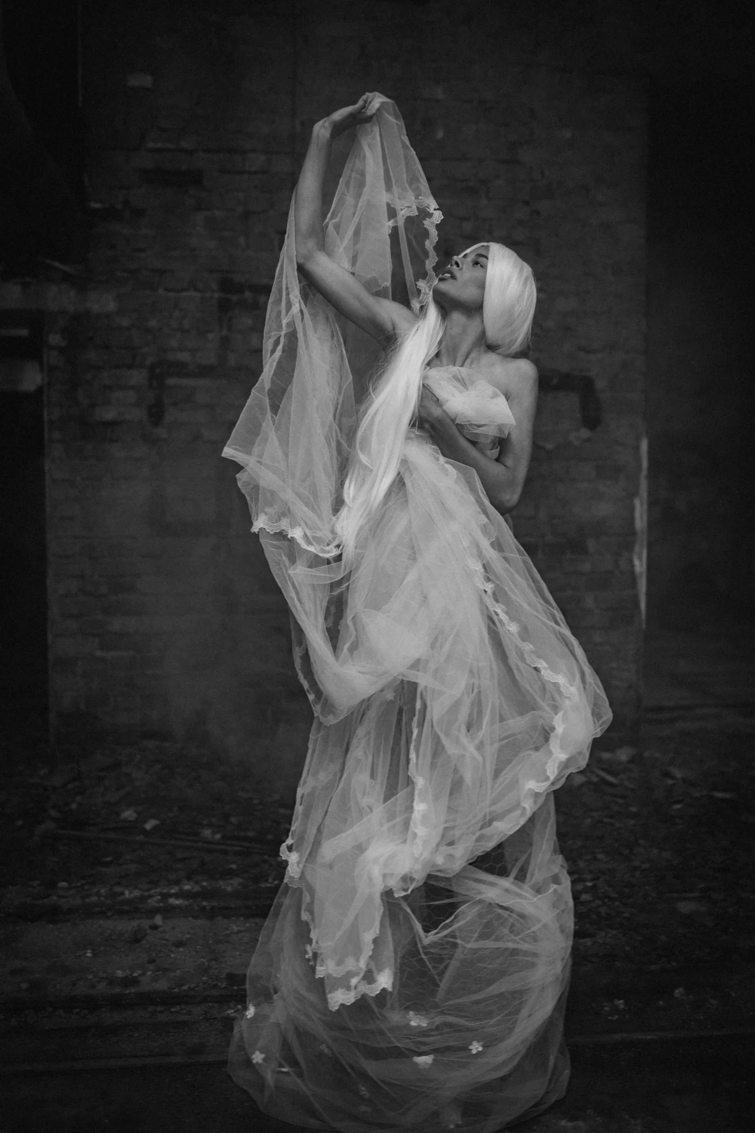 069a5fd3 e352 41c0 9508 ce515cba8b51