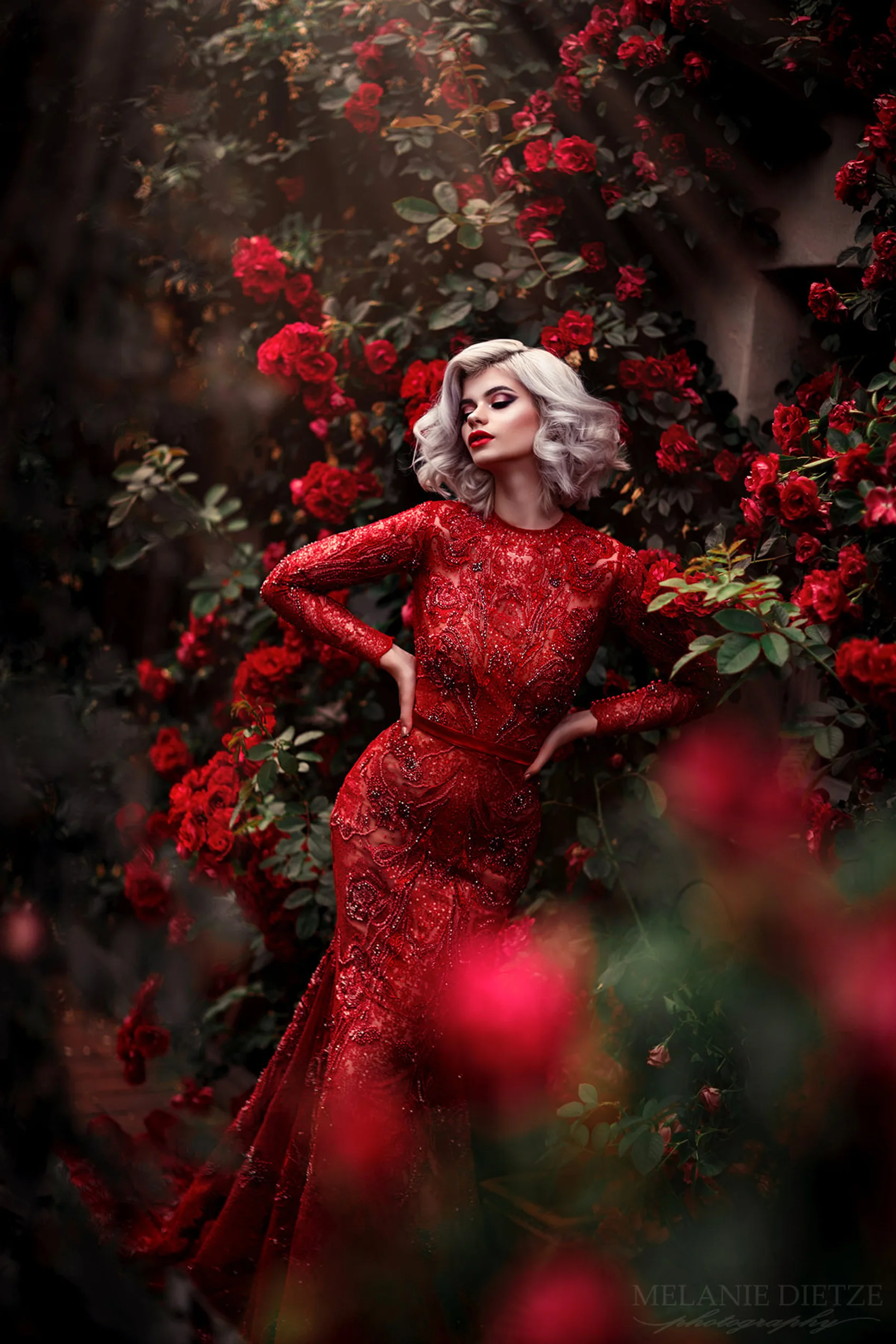 245f6257 d8f8 4c9b beb4 a06f04d7e41b