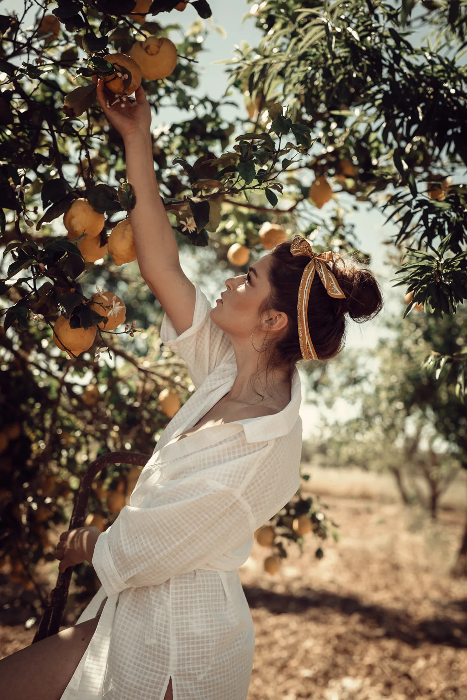 3f709a38 a931 4add ae2c e24ab5ab6d5c