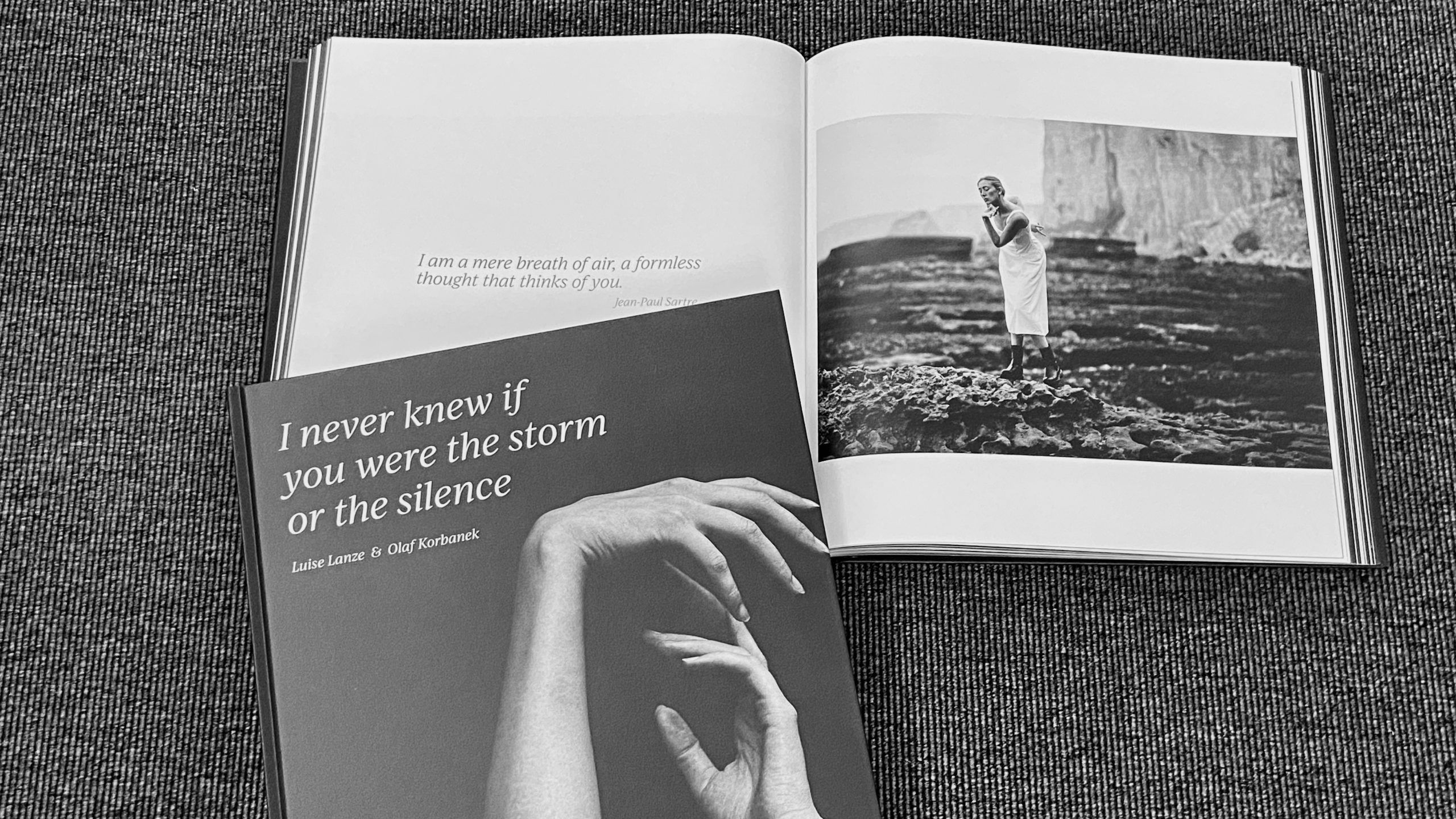 I never knew if you were the storm or the silence