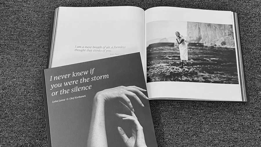 I never knew if you were the storm or the silence