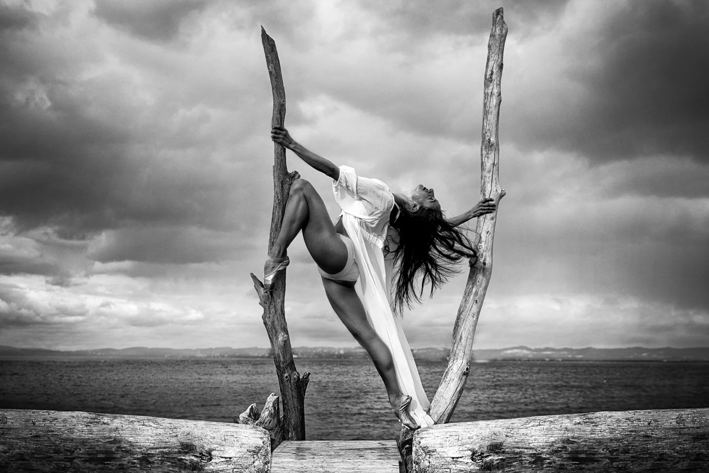 df6e47c8 a61b 40a7 9c4a 4c097ff8b1f2